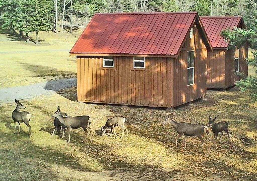 Photo of Outdoor in Capulin