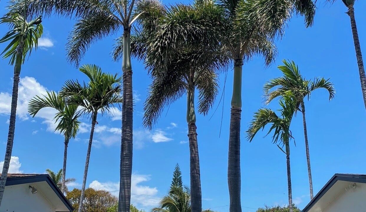 Photo of Outdoor in Pompano Beach