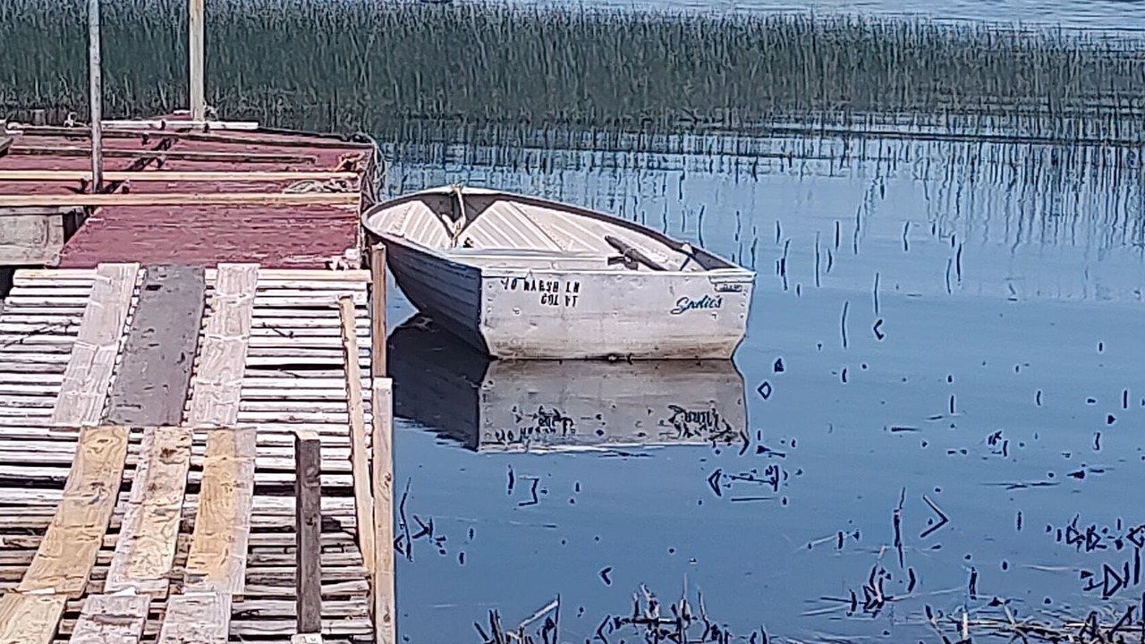 Photo of Others in Malletts Bay