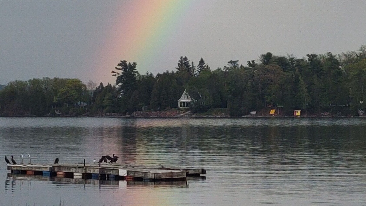 Photo of Others in Malletts Bay