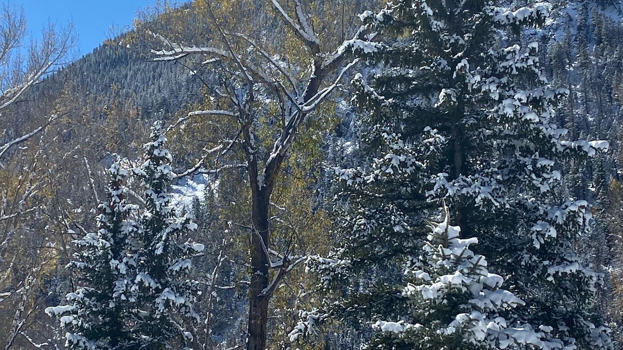 Photo of Others in Lake City