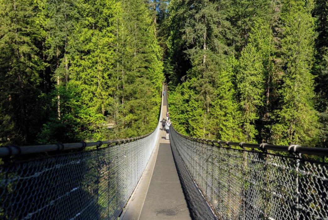 Photo of Outdoor in Pemberton Heights