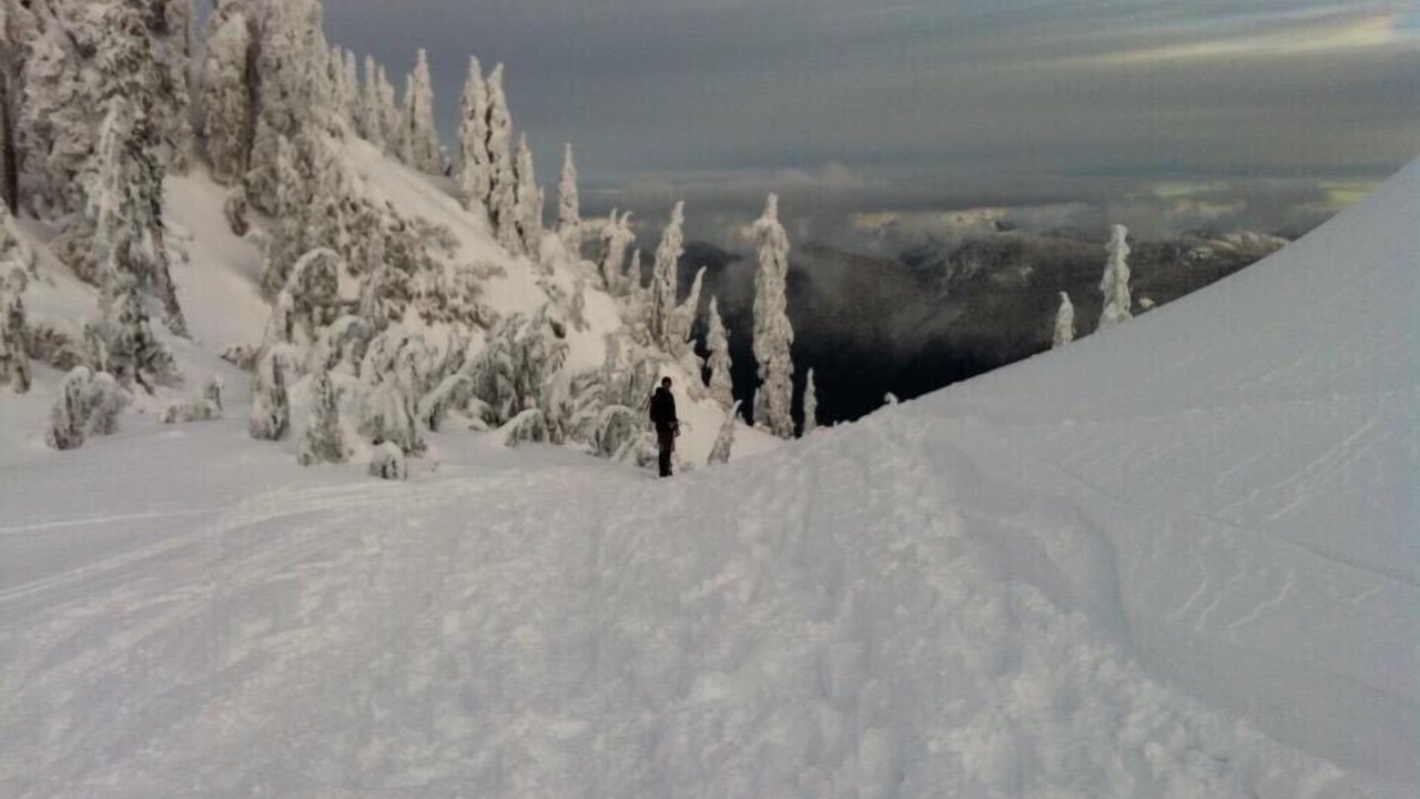 Photo of Others in Pemberton Heights