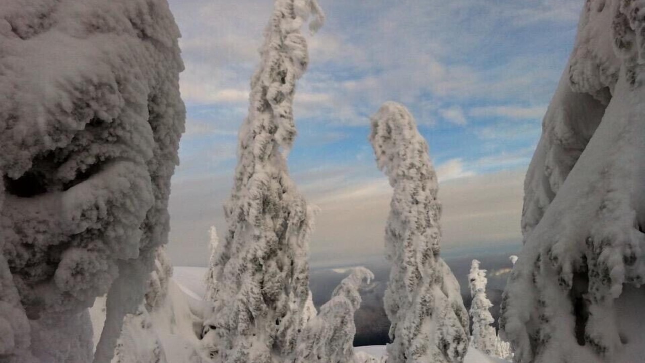 Photo of Outdoor in Pemberton Heights