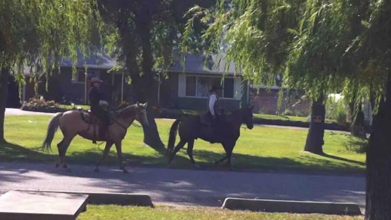 Photo of Outdoor in Okanagan-Similkameen