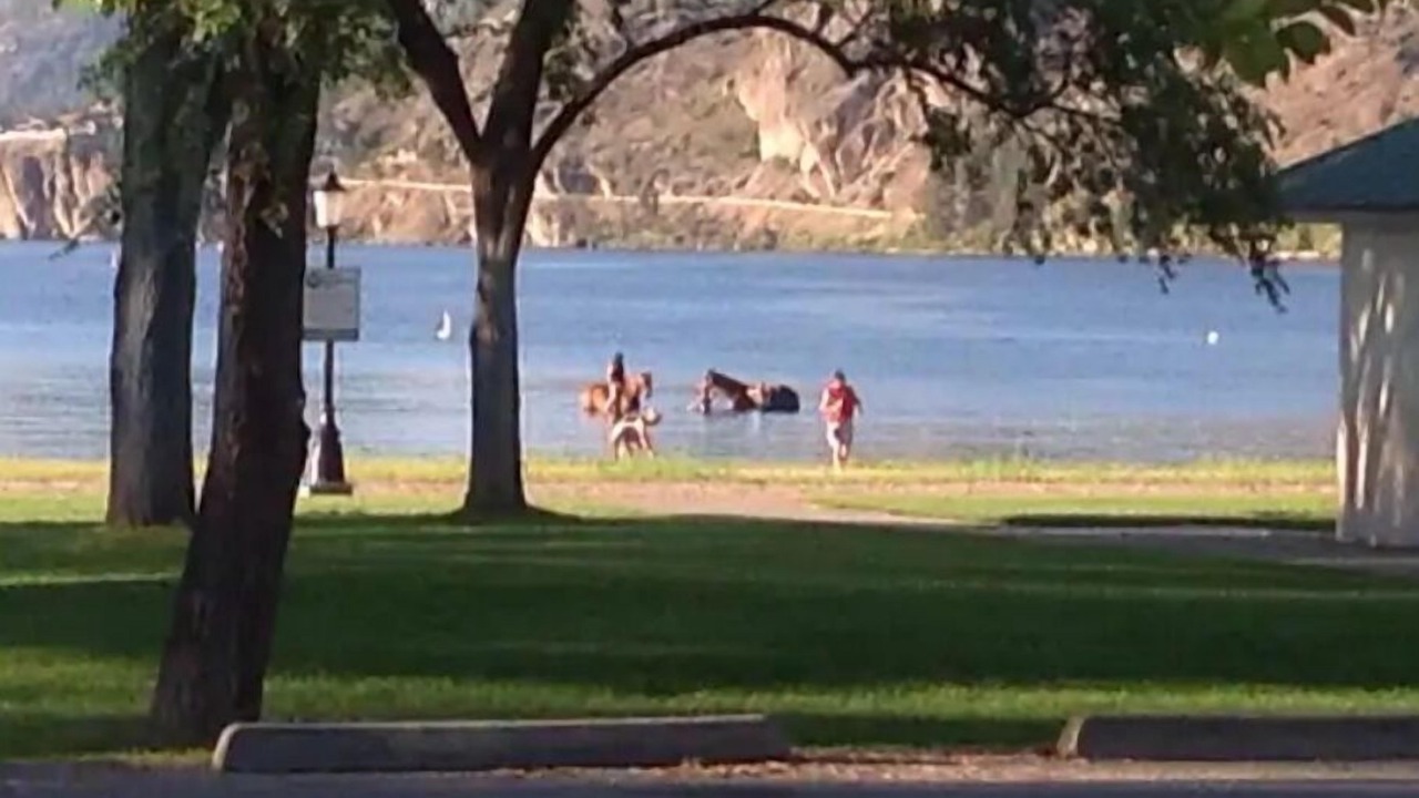 Photo of Others in Okanagan-Similkameen