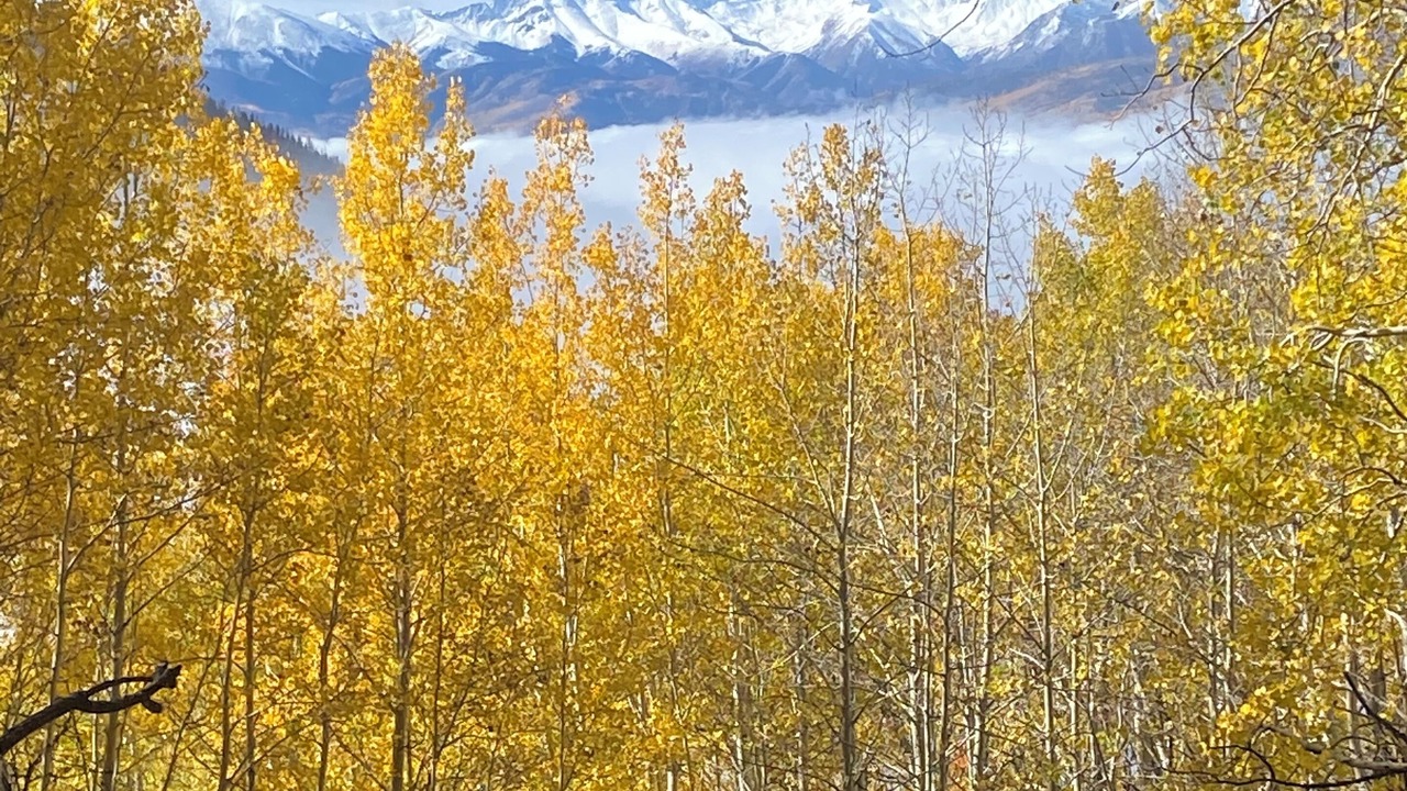 Photo of Outdoor in Lake City