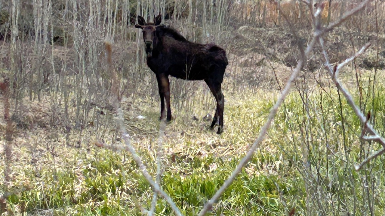 Photo of Others in Lake City
