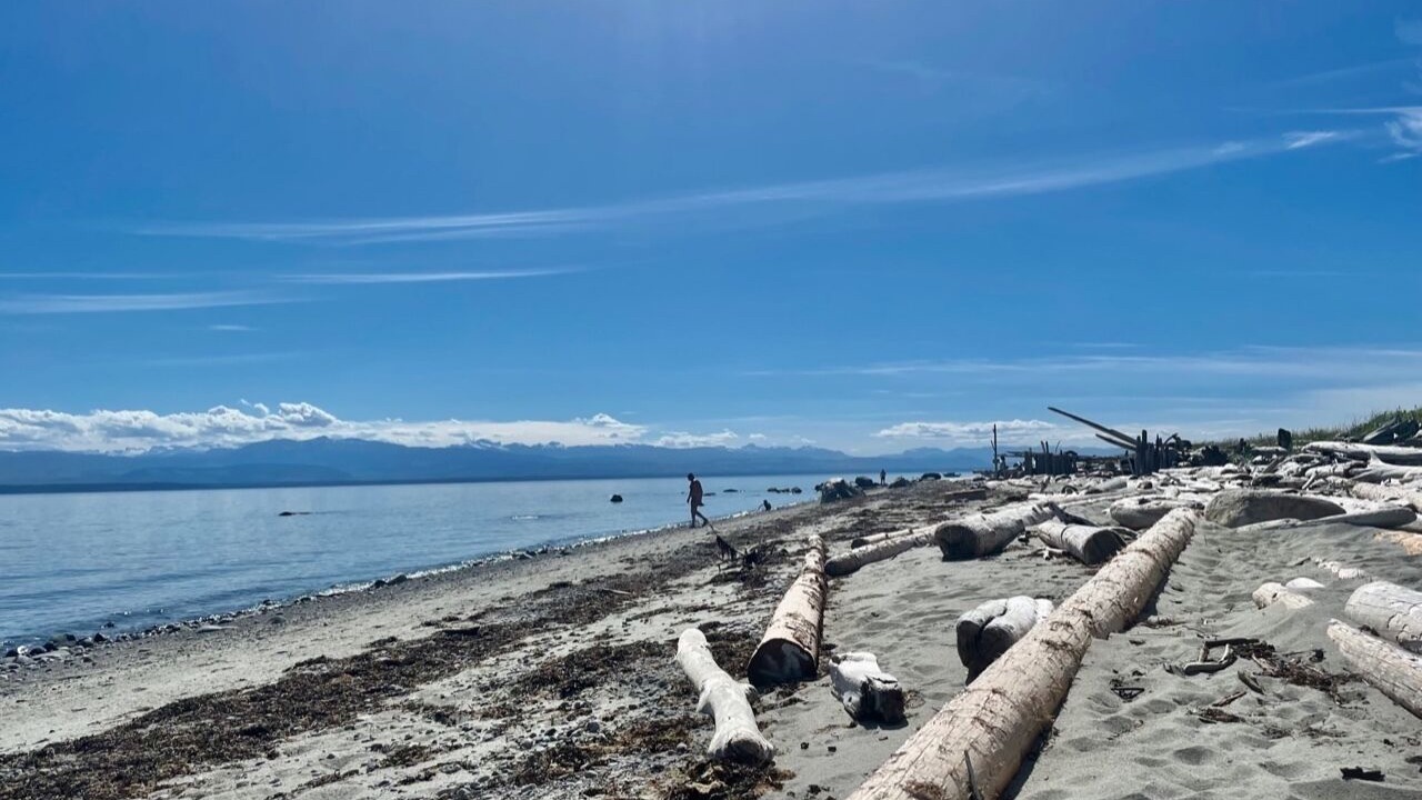 Photo of Others in Savary Island