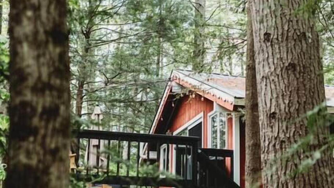 Photo of Outdoor in Bartlett