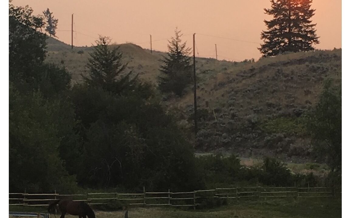 Photo of Others in Okanagan-Similkameen