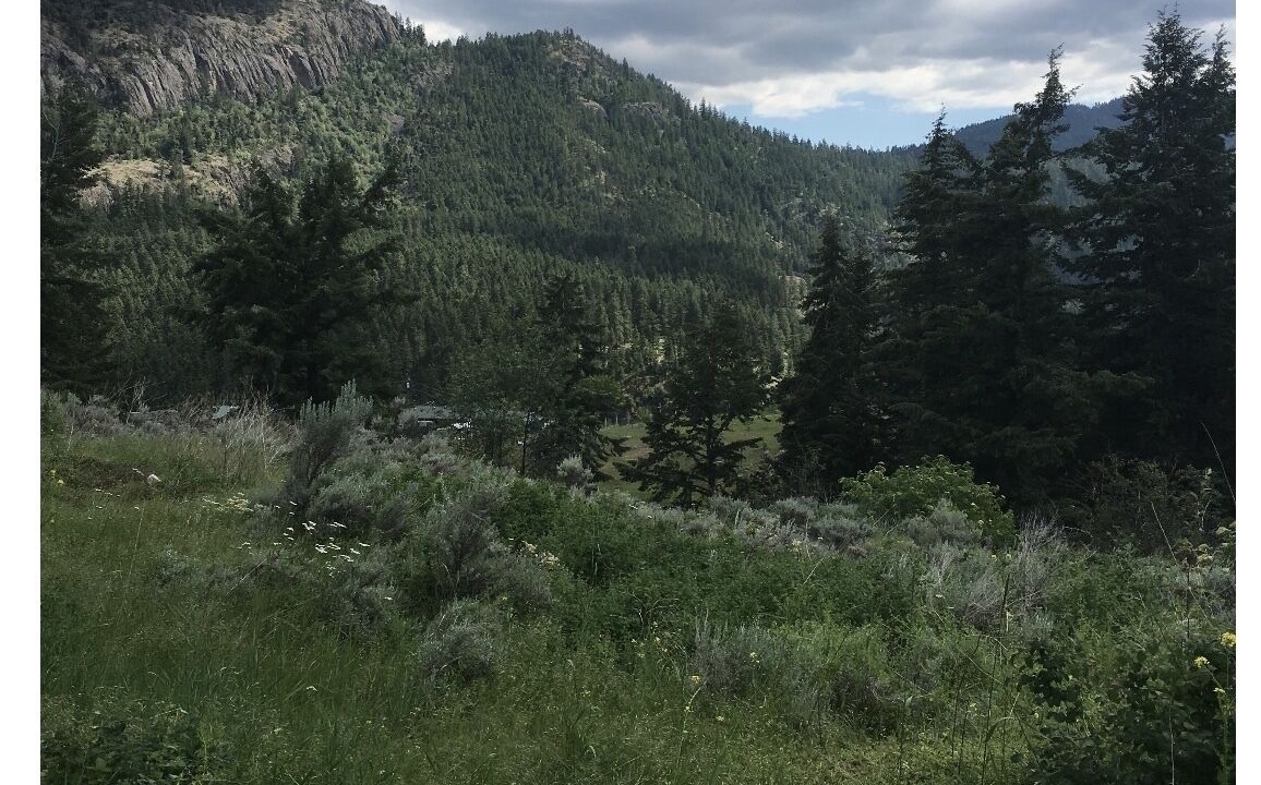 Photo of Others in Okanagan-Similkameen