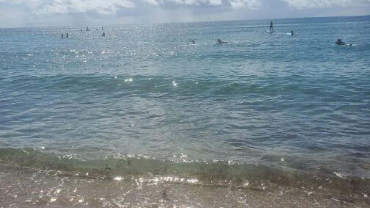 Photo of Others in Briny Breezes