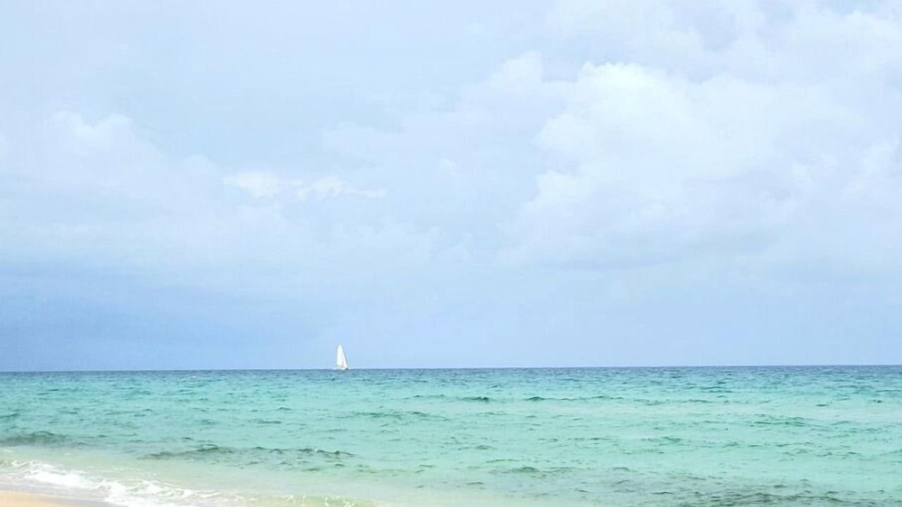 Photo of Others in Briny Breezes