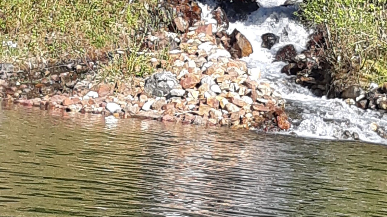 Photo of Others in Revelstoke