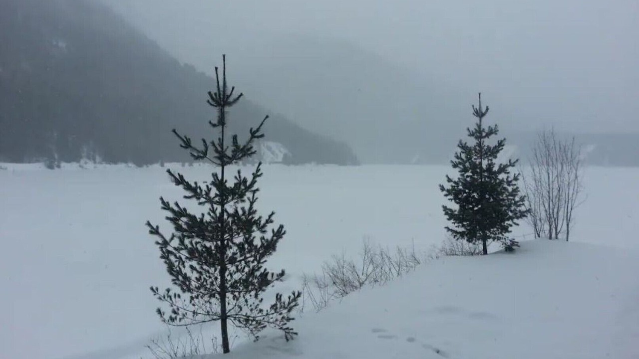 Photo of Others in Revelstoke