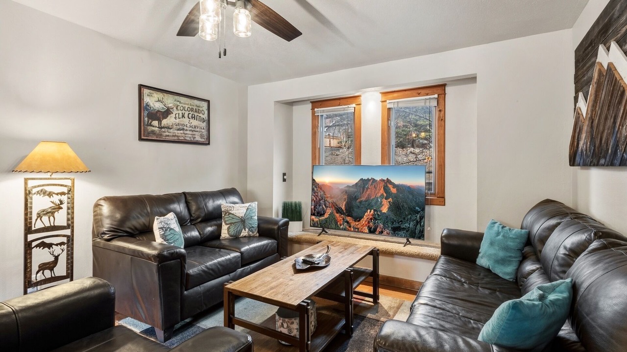 Photo of Livingroom in Ouray