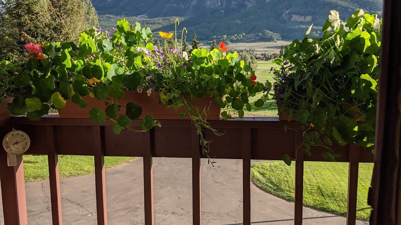 Photo of Outdoor in Crested Butte