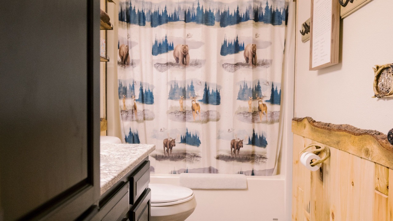 Photo of Bathroom in Piedmont