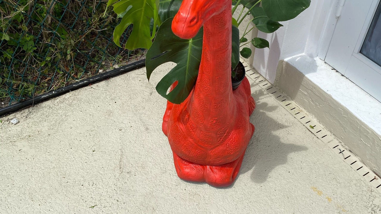Photo of Outdoor in Hobe Sound