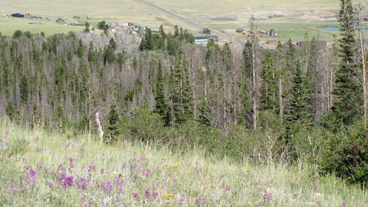 Photo of Others in Centennial