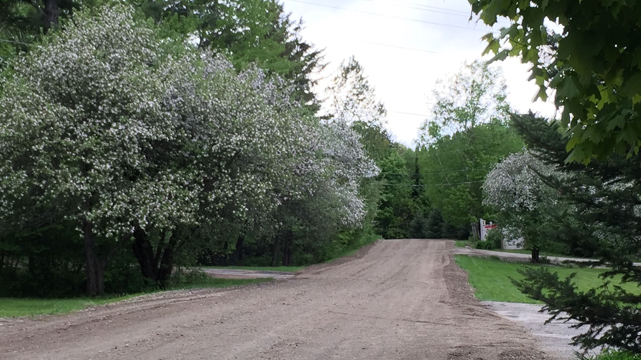Photo of Others in East Burke