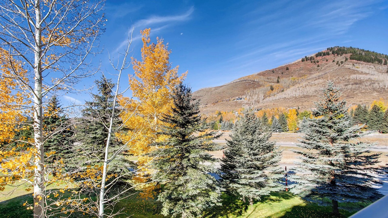 Photo of Others in Vail