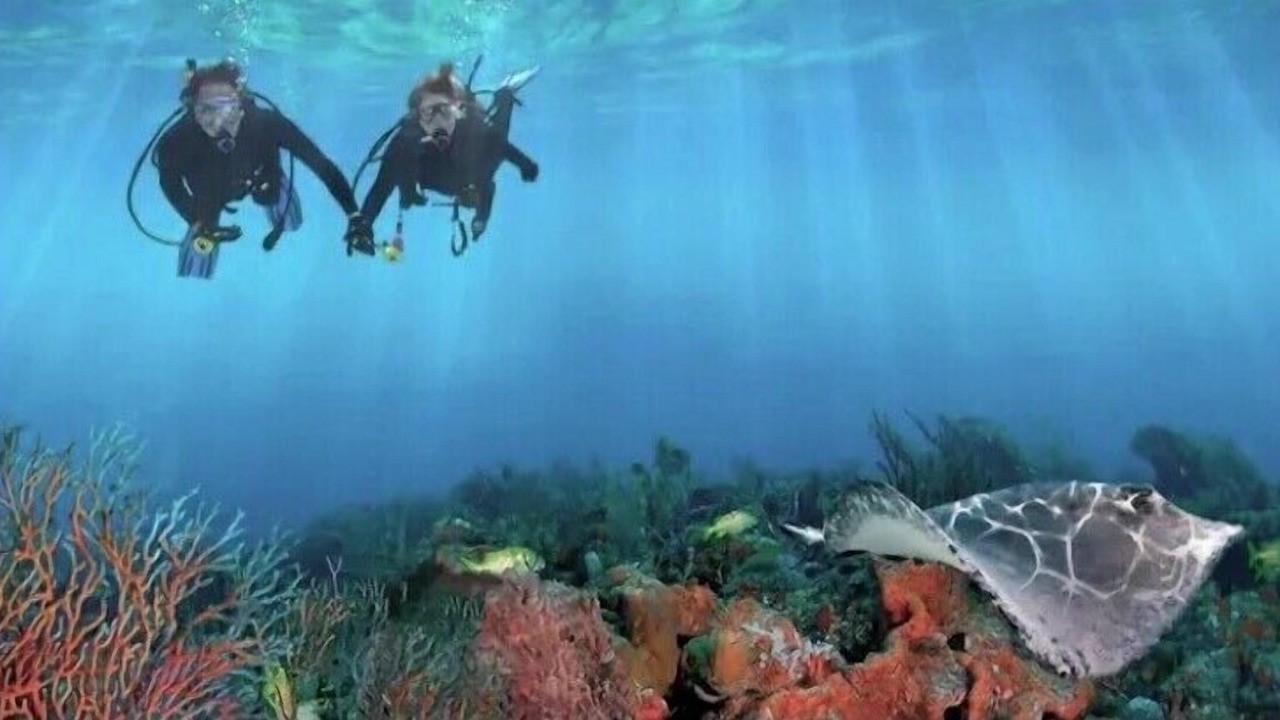 Photo of Others in East Fort Lauderdale