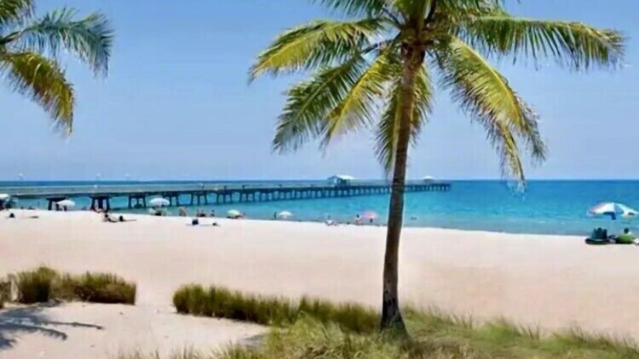 Photo of Others in East Fort Lauderdale