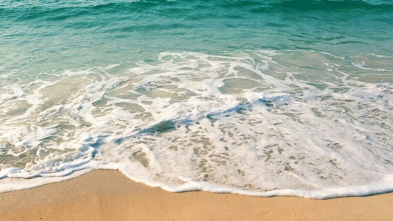 Photo of Others in Singer Island