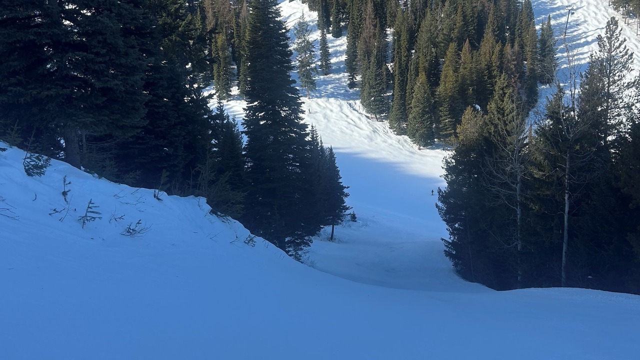 Photo of Others in East Kootenay