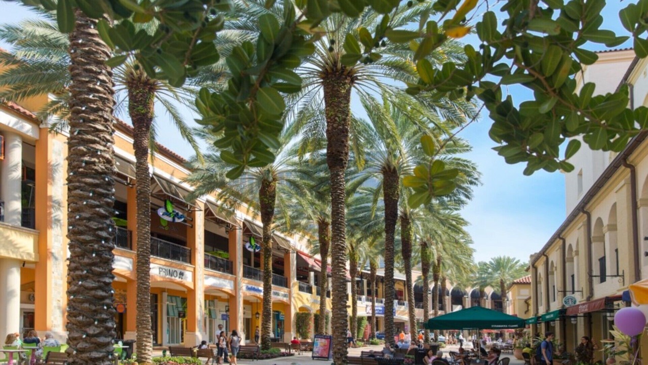 Photo of Outdoor in Flamingo Parks