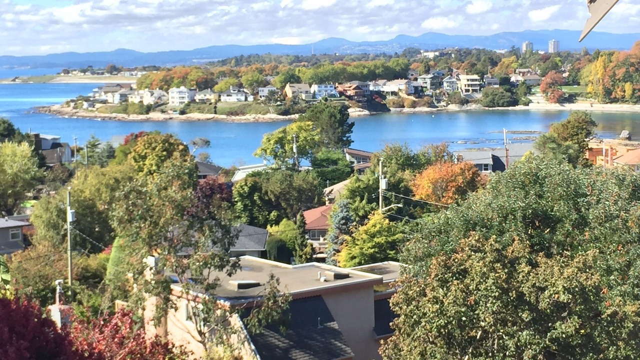 Photo of Others in Oak Bay