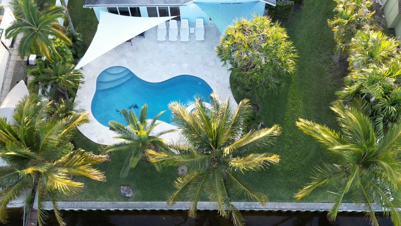Photo of Outdoor in Tropic Palms