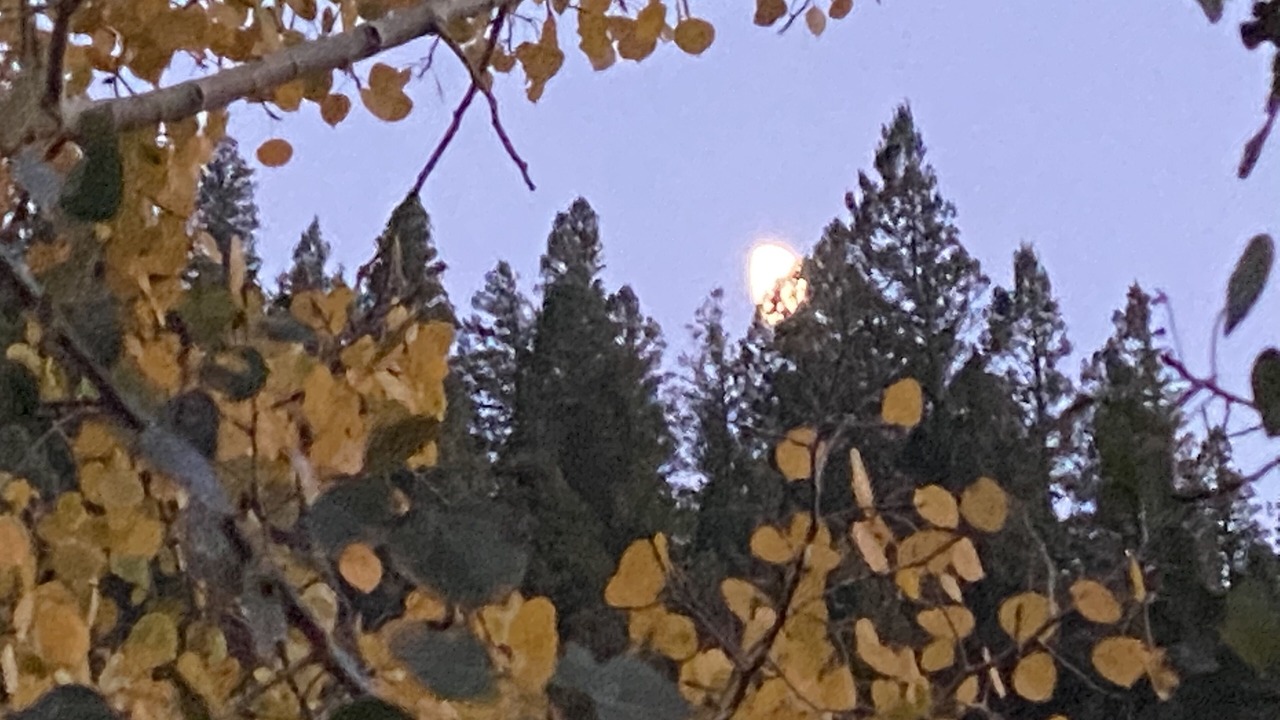Photo of Outdoor in Taos Ski Valley