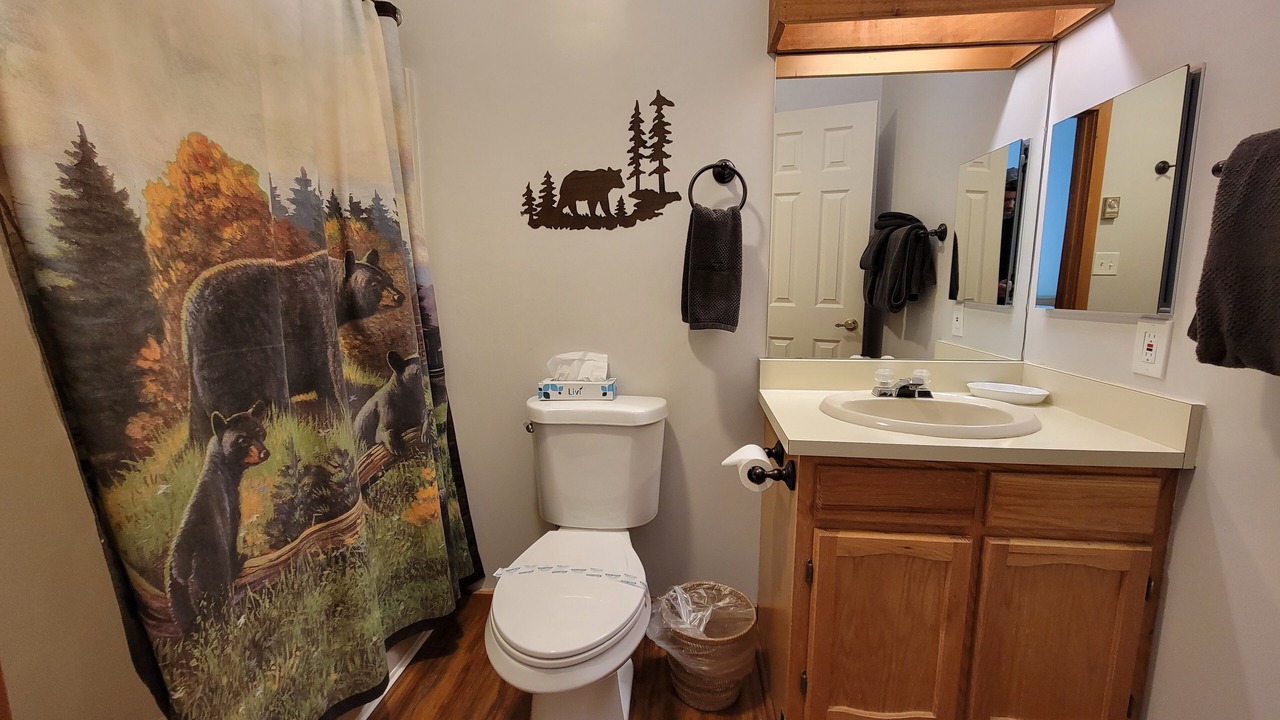 Photo of Bathroom in Lincoln