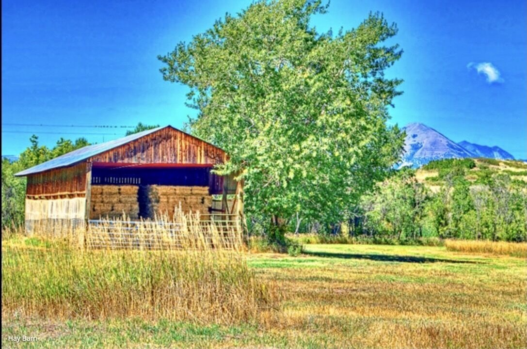 Photo of Outdoor in La Veta