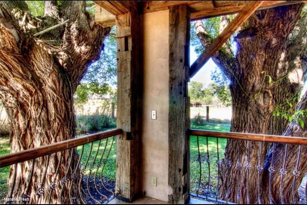 Photo of Outdoor in La Veta