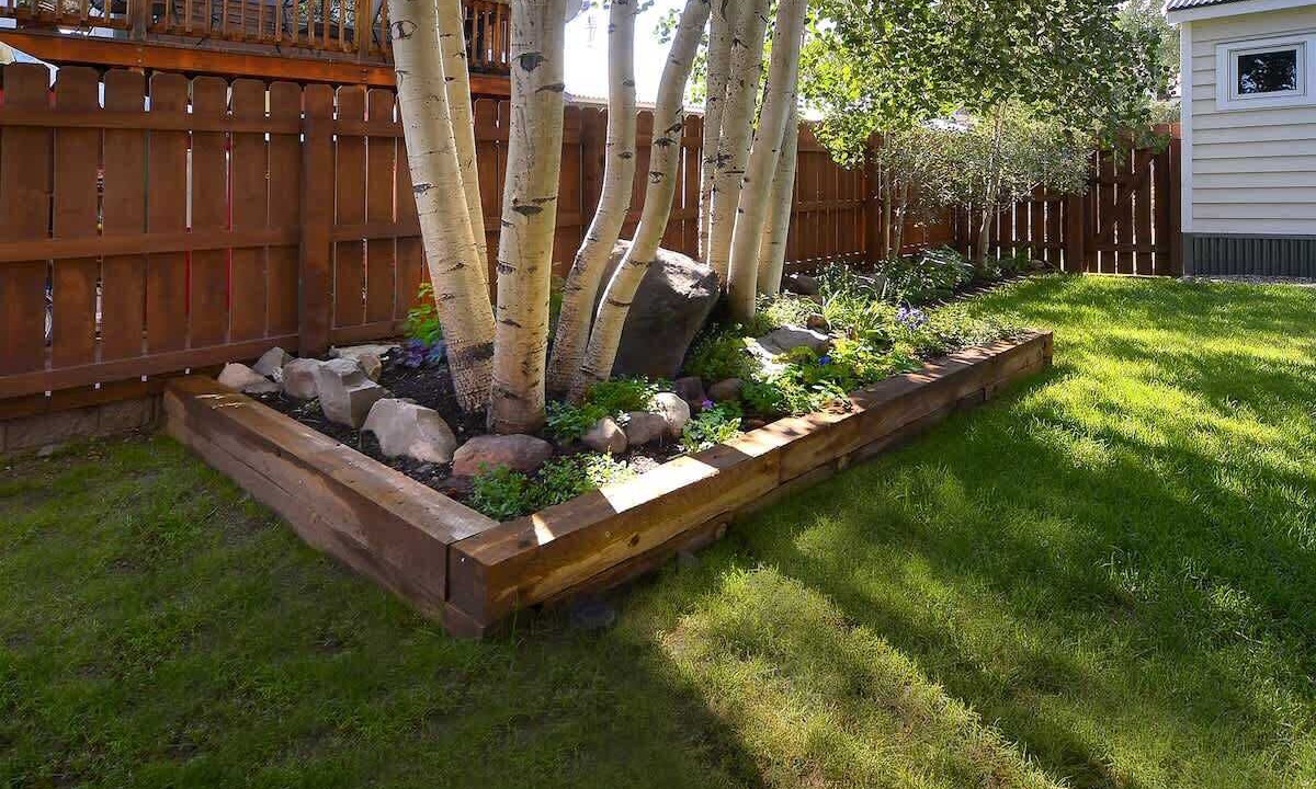 Photo of Outdoor in Crested Butte