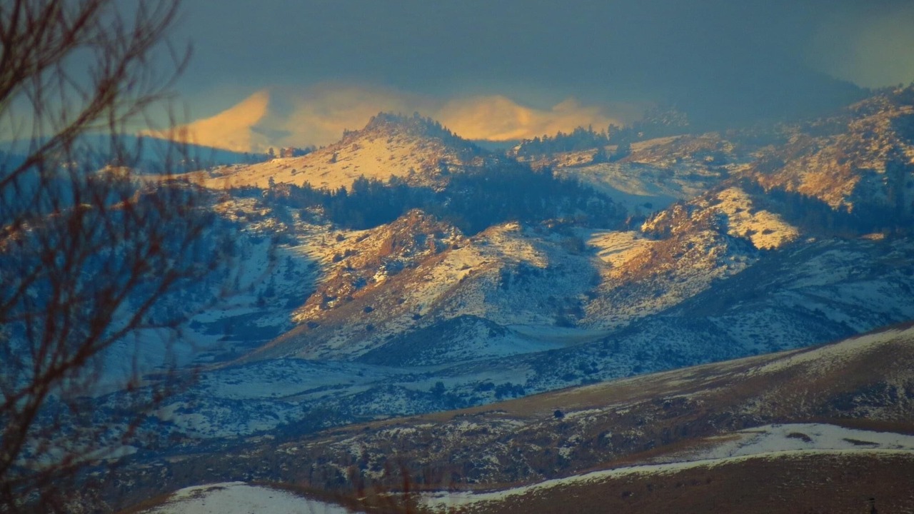 Photo of Outdoor in Livermore
