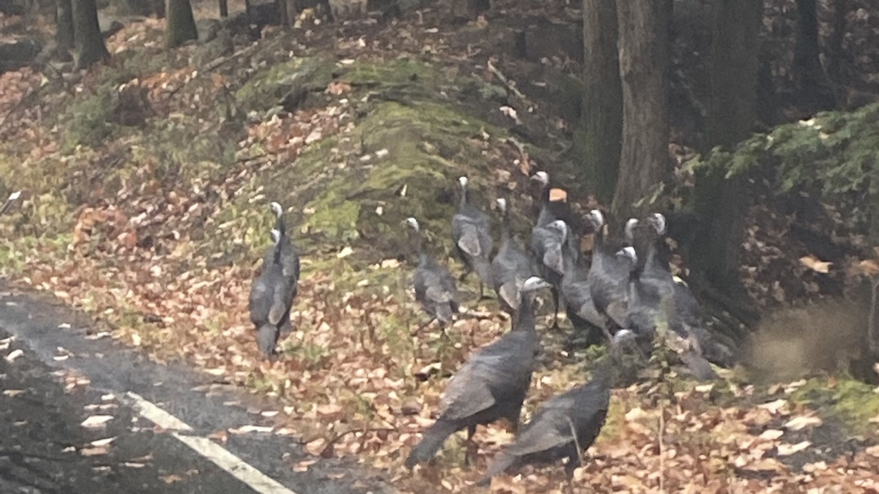 Photo of Outdoor in Diamond Point