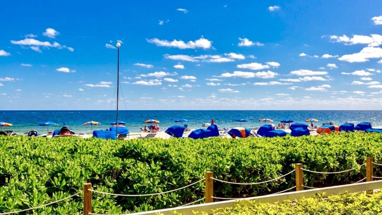 Photo of Others in Pompano Beach