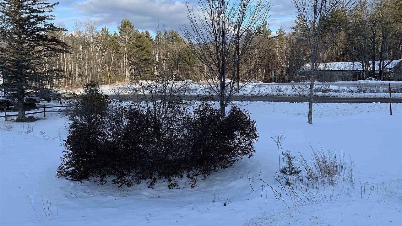 Photo of Outdoor in Bartlett
