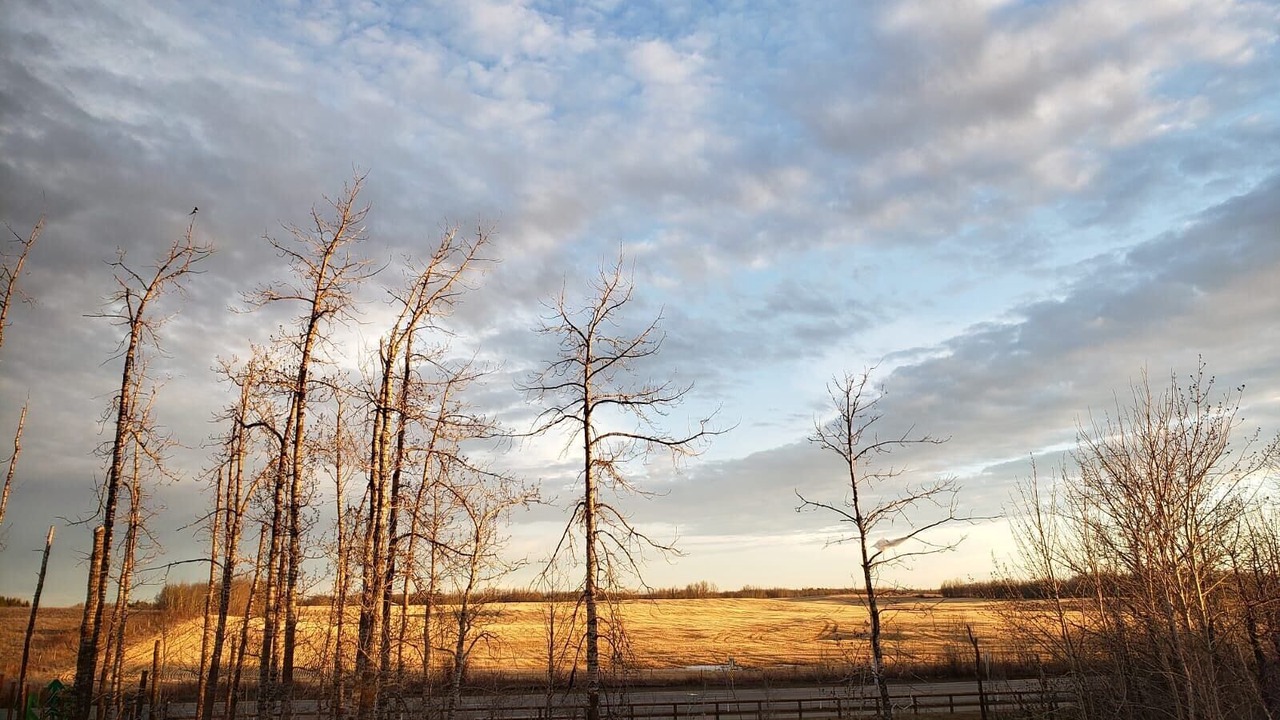 Photo of Others in Southeast Edmonton