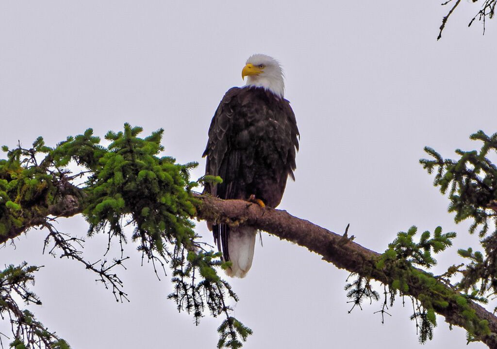 Photo of Others in Regional District of Nanaimo
