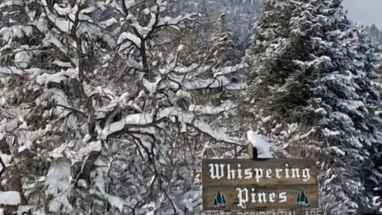 Photo of Others in Ridgway