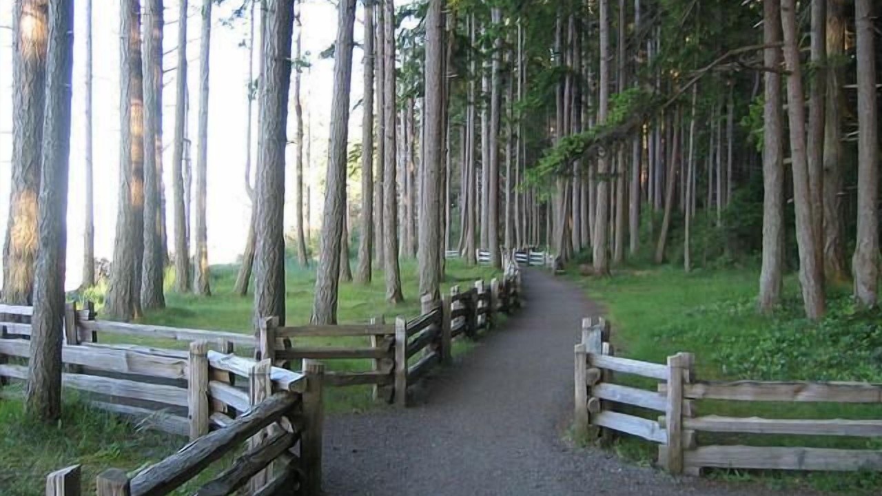 Photo of Others in Regional District of Nanaimo