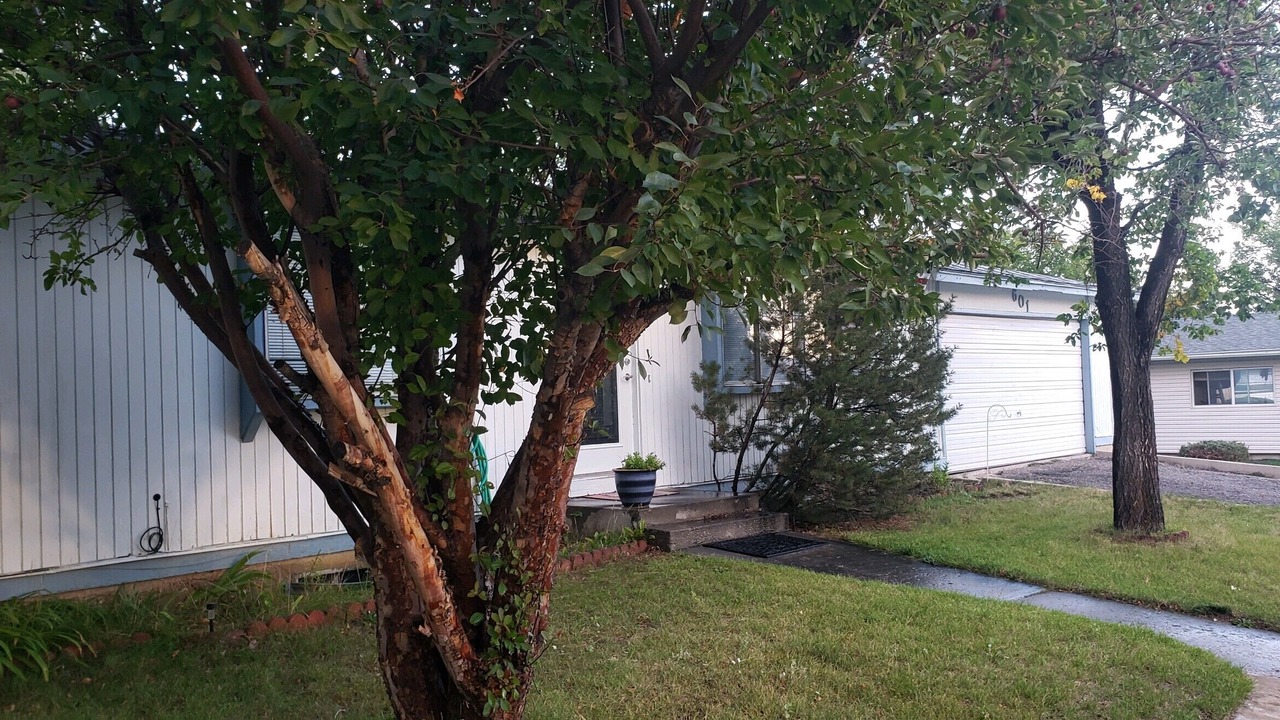 Photo of Outdoor in Rock Springs