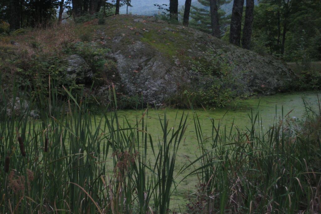 Photo of Outdoor in Wevertown