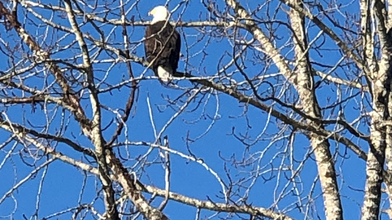 Photo of Others in Yellow Point